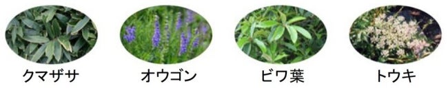 湿潤剤として、天然植物由来成分を配合