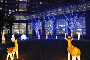 mudefを通じて「アイノカタチ基金」を支援 （冬季イルミネーションで病気と闘う子どもを支援）