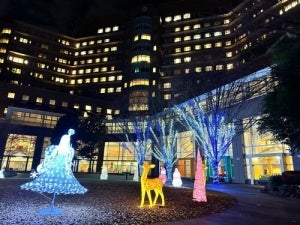 mudefを通じて「アイノカタチ基金」を支援 （冬季イルミネーションで病気と闘う子どもを支援）