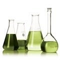 Einhaltung wissenschaftlicher Standards zur Untermauerung