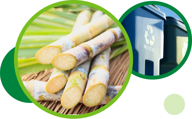 nu-skin-glossary-page-banner-image nu-skin-glossary-page-banner-image